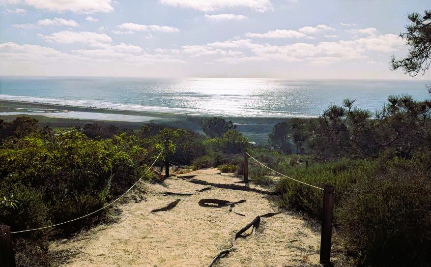 Ocean view from Torrey Pines Extension trail.