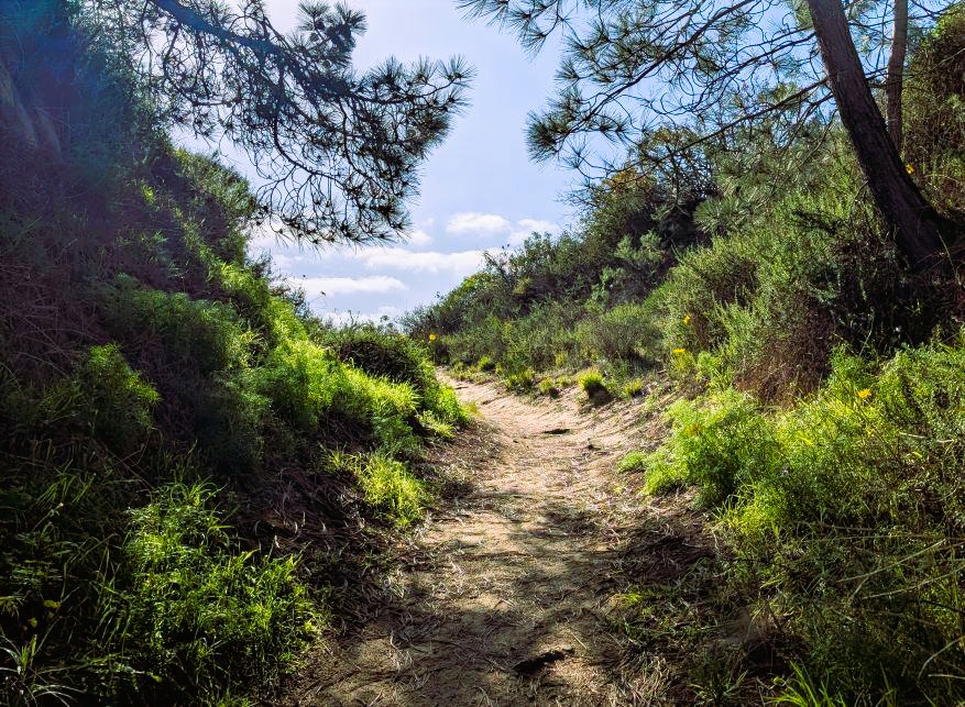 Torrey Pines Extension adventure, San Diego.