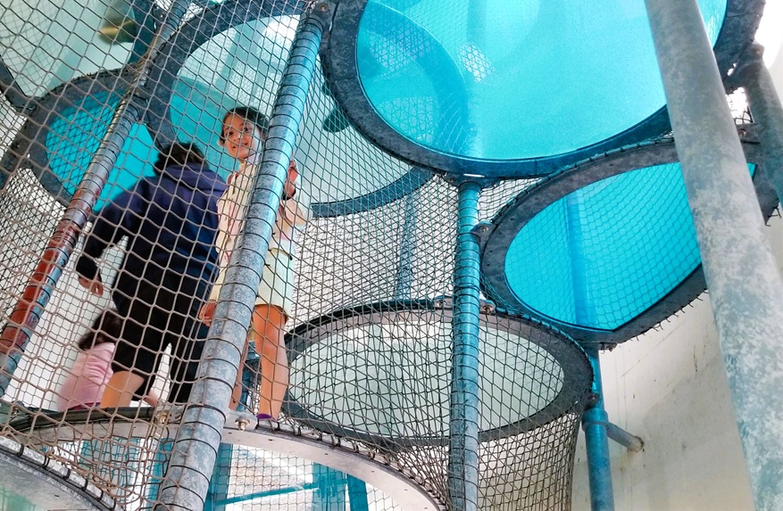 Blue tower climbing adventure.