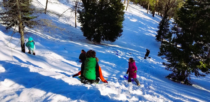 Family sledding in the snow.