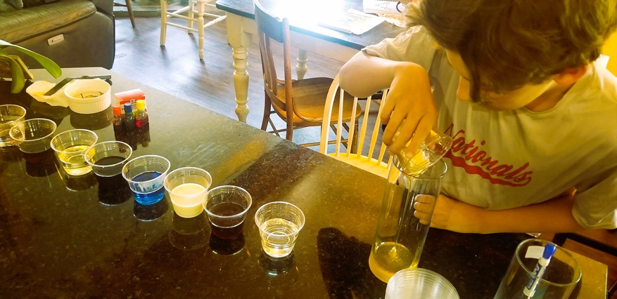 Homeschool liquid density science experiment.