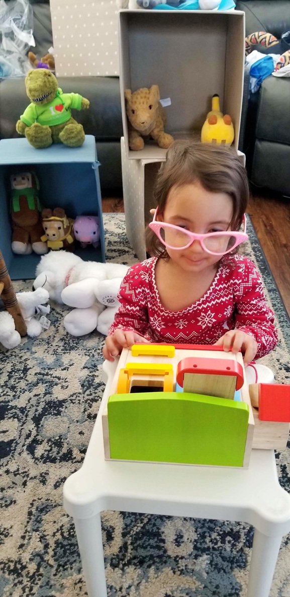 My youngest playing cashier in her zoo/pet store shop.